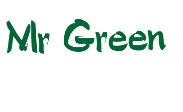 Mr Green srl  logo